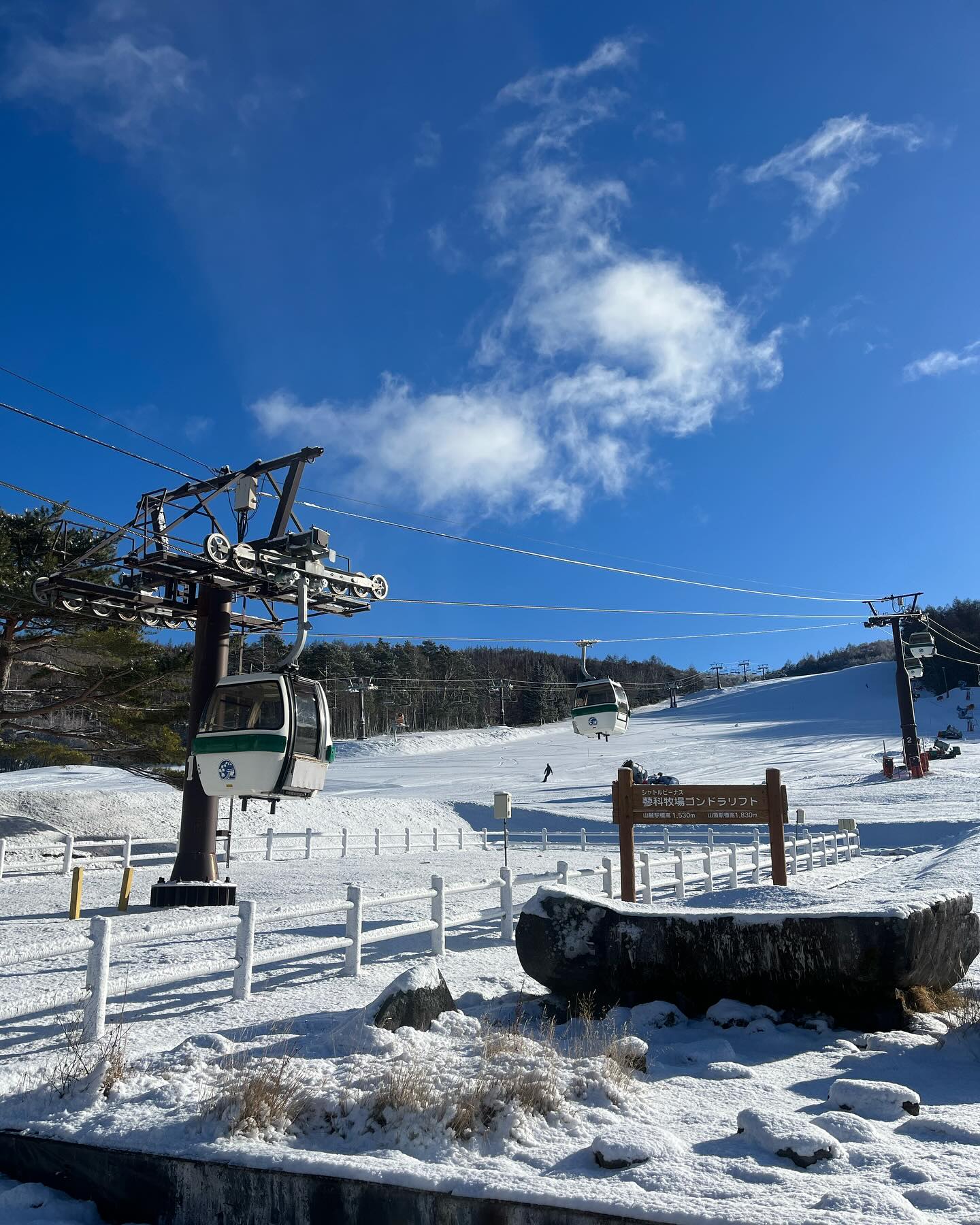 shirocon シロコン　シャギーケープ shirocon シロコン シャギーケープ め様専用 yori shirocon シロコン